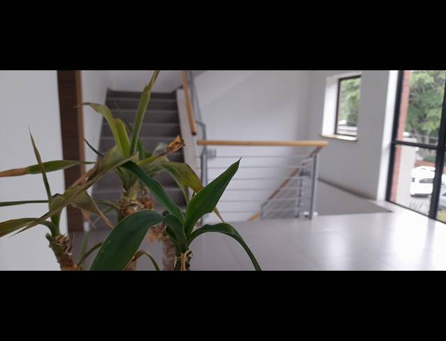 109M² OFFICE TO LET IN GLENWOOD